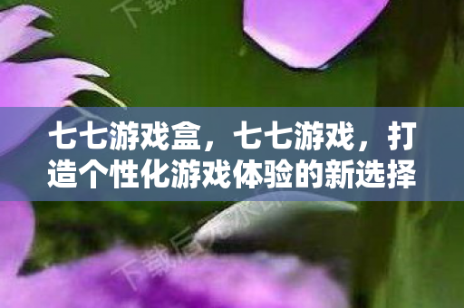 七七游戏盒，七七游戏，打造个性化游戏体验的新选择