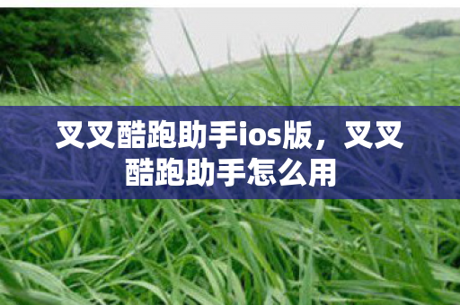 叉叉酷跑助手ios版，叉叉酷跑助手怎么用