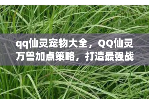 qq仙灵宠物大全,QQ仙灵万兽加点策略,打造最强战斗宠物 qq仙灵宠物大全,QQ仙灵万兽加点策略,打造最强战斗宠物