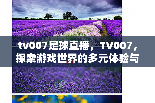 tv007足球直播，TV007，探索游戏世界的多元体验与社区文化