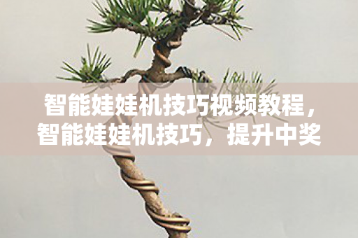 智能娃娃机技巧视频教程，智能娃娃机技巧，提升中奖率的实用策略