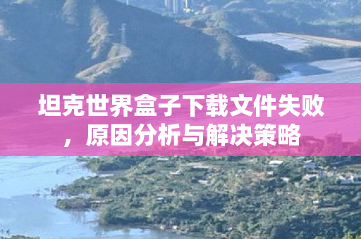 坦克世界盒子下载文件失败，原因分析与解决策略