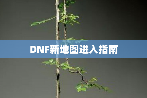 DNF新地图进入指南