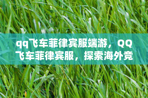 qq飞车菲律宾服端游，QQ飞车菲律宾服，探索海外竞速之旅