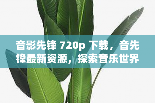 音影先锋 720p 下载，音先锋最新资源，探索音乐世界的无限可能