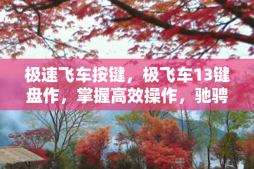 极速飞车按键，极飞车13键盘作，掌握高效操作，驰骋虚拟赛道