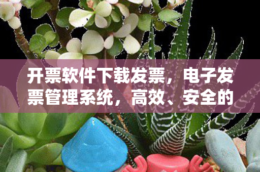 开票软件下载发票,电子发票管理系统,高效、安全的开票软件下载与应用 开票软件下载发票,电子发票管理系统,高效、安全的开票软件下载与应用