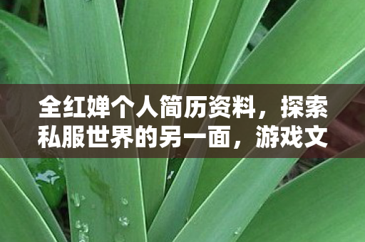 全红婵个人简历资料,探索私服世界的另一面,游戏文化的独特魅力与玩家社群 全红婵个人简历资料,探索私服世界的另一面,游戏文化的独特魅力与玩家社群