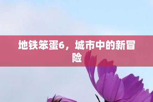 地铁笨蛋6,城市中的新冒险 地铁笨蛋6,城市中的新冒险
