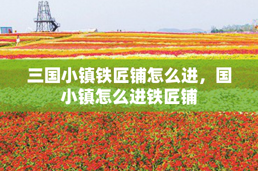 三国小镇铁匠铺怎么进,国小镇怎么进铁匠铺 三国小镇铁匠铺怎么进,国小镇怎么进铁匠铺