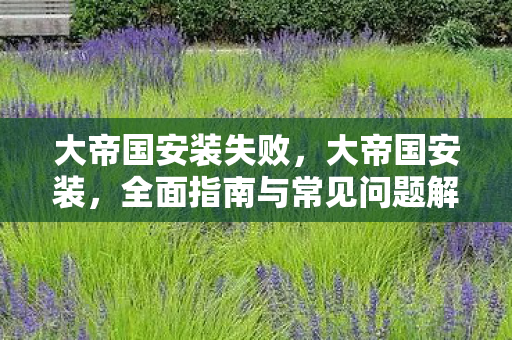 大帝国安装失败,大帝国安装,全面指南与常见问题解答 大帝国安装失败,大帝国安装,全面指南与常见问题解答