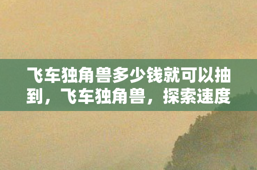 飞车独角兽多少钱就可以抽到，飞车独角兽，探索速度与自由的极限