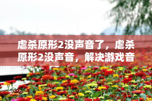 虐杀原形2没声音了，虐杀原形2没声音，解决游戏音频问题的全面指南