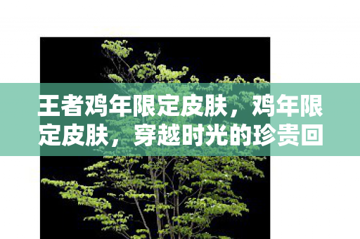 王者鸡年限定皮肤,鸡年限定皮肤,穿越时光的珍贵回忆 王者鸡年限定皮肤,鸡年限定皮肤,穿越时光的珍贵回忆