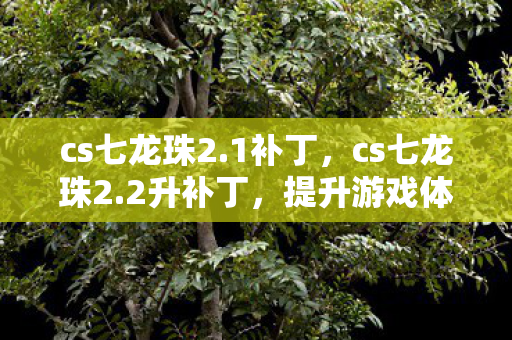 cs七龙珠2.1补丁，cs七龙珠2.2升补丁，提升游戏体验的必备神器
