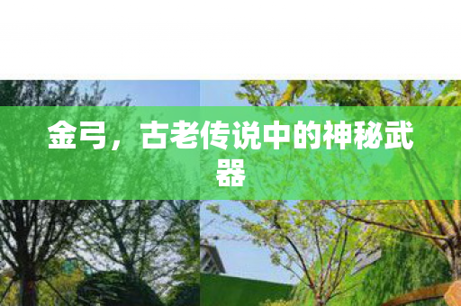 金弓,古老传说中的神秘武器 金弓,古老传说中的神秘武器