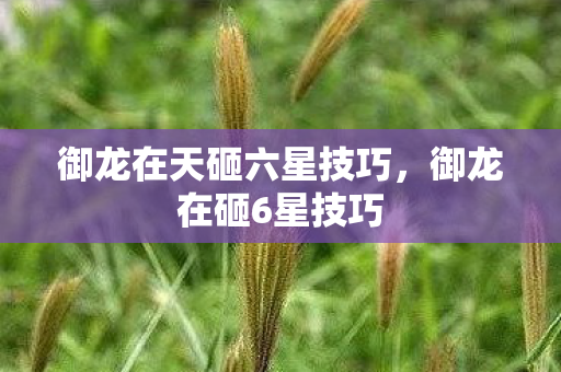 御龙在天砸六星技巧，御龙在砸6星技巧