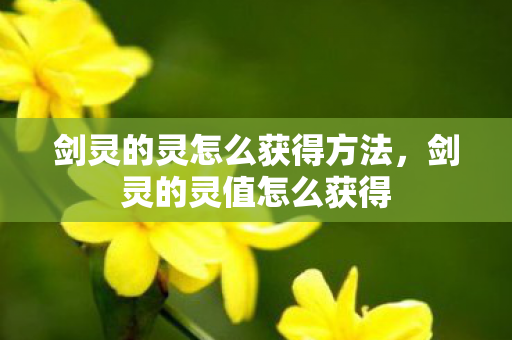 剑灵的灵怎么获得方法，剑灵的灵值怎么获得