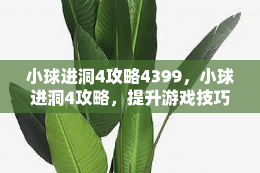 小球进洞4攻略4399,小球进洞4攻略,提升游戏技巧与策略 小球进洞4攻略4399,小球进洞4攻略,提升游戏技巧与策略