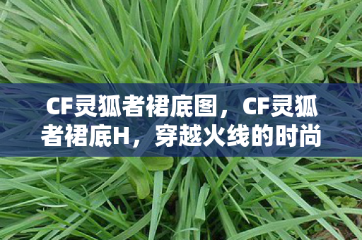 CF灵狐者裙底图,CF灵狐者裙底H,穿越火线的时尚潮流与游戏文化 CF灵狐者裙底图,CF灵狐者裙底H,穿越火线的时尚潮流与游戏文化