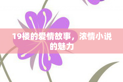 19楼的爱情故事，浓情小说的魅力