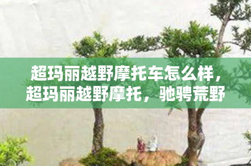 超玛丽越野摩托车怎么样，超玛丽越野摩托，驰骋荒野的激情与自由