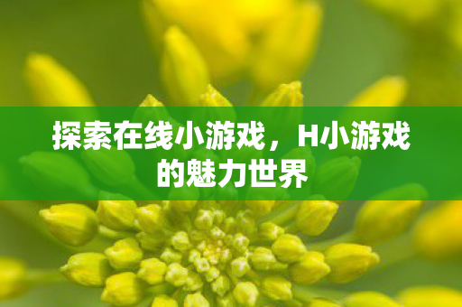 探索在线小游戏，H小游戏的魅力世界