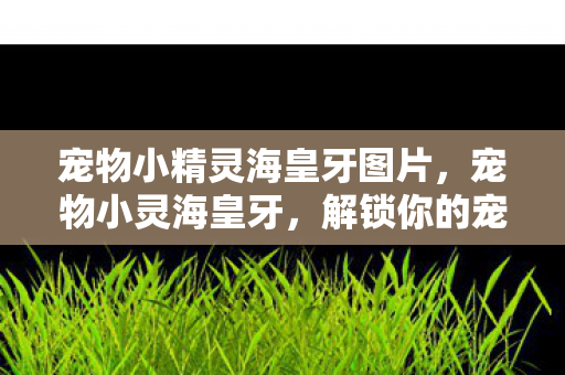 宠物小精灵海皇牙图片,宠物小灵海皇牙,解锁你的宠物成长新篇章 宠物小精灵海皇牙图片,宠物小灵海皇牙,解锁你的宠物成长新篇章