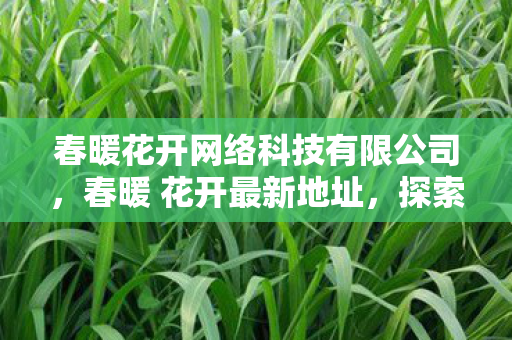 春暖花开网络科技有限公司,春暖 花开最新地址,探索数字世界的浪漫之旅 春暖花开网络科技有限公司,春暖 花开最新地址,探索数字世界的浪漫之旅