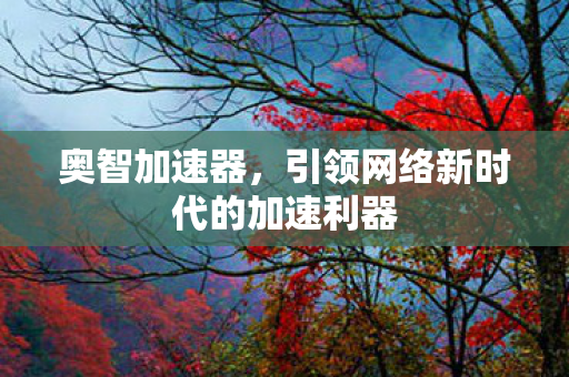 奥智加速器，引领网络新时代的加速利器