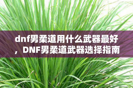 dnf男柔道用什么武器最好，DNF男柔道武器选择指南，打造最强战斗力的关键
