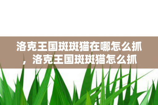 洛克王国斑斑猫在哪怎么抓,洛克王国斑斑猫怎么抓 洛克王国斑斑猫在哪怎么抓,洛克王国斑斑猫怎么抓