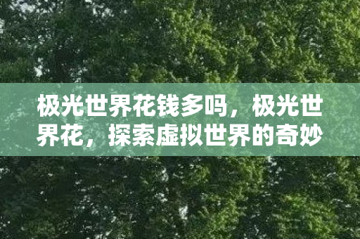 极光世界花钱多吗,极光世界花,探索虚拟世界的奇妙之旅 极光世界花钱多吗,极光世界花,探索虚拟世界的奇妙之旅