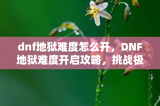 dnf地狱难度怎么开，DNF地狱难度开启攻略，挑战极限，解锁全新游戏体验