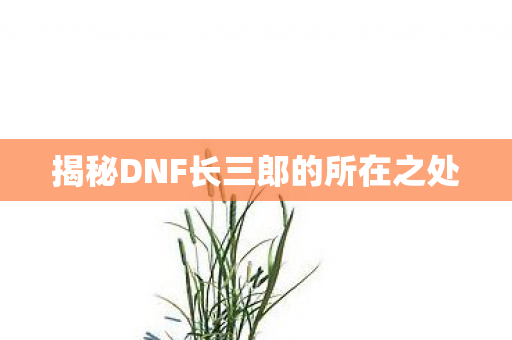 揭秘DNF长三郎的所在之处