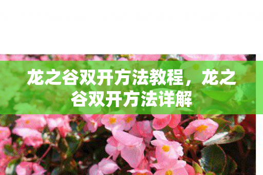 龙之谷双开方法教程，龙之谷双开方法详解