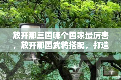 放开那三国哪个国家最厉害，放开那国武将搭配，打造最强战斗阵容