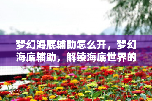 梦幻海底辅助怎么开,梦幻海底辅助,解锁海底世界的无限可能 梦幻海底辅助怎么开,梦幻海底辅助,解锁海底世界的无限可能