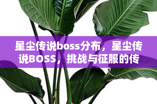 星尘传说boss分布,星尘传说BOSS,挑战与征服的传奇 星尘传说boss分布,星尘传说BOSS,挑战与征服的传奇