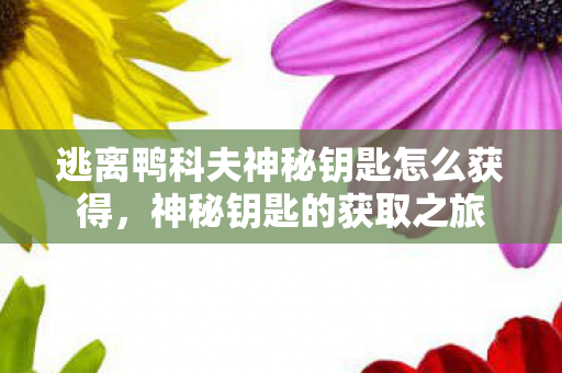逃离鸭科夫神秘钥匙怎么获得，神秘钥匙的获取之旅