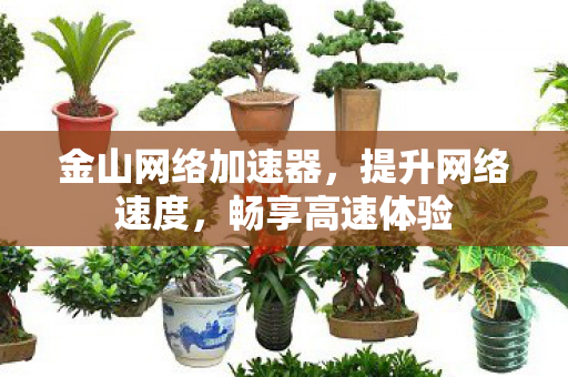 金山网络加速器，提升网络速度，畅享高速体验