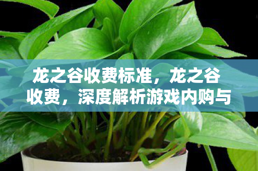 龙之谷收费标准，龙之谷 收费，深度解析游戏内购与会员制度
