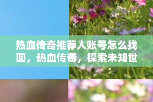 热血传奇推荐人账号怎么找回，热血传奇，探索未知世界的神秘邀请