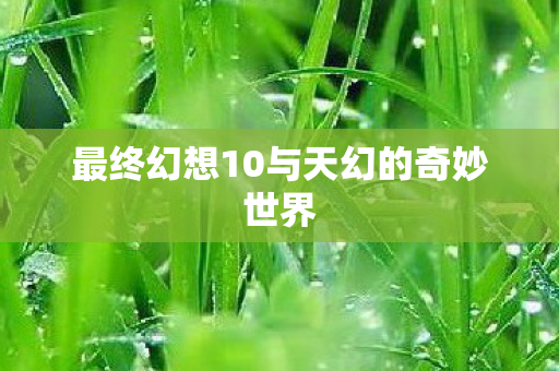 最终幻想10与天幻的奇妙世界