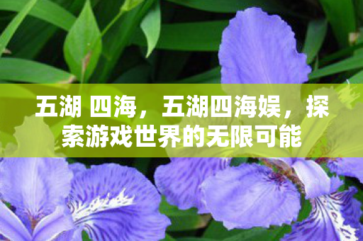 五湖 四海,五湖四海娱,探索游戏世界的无限可能 五湖 四海,五湖四海娱,探索游戏世界的无限可能