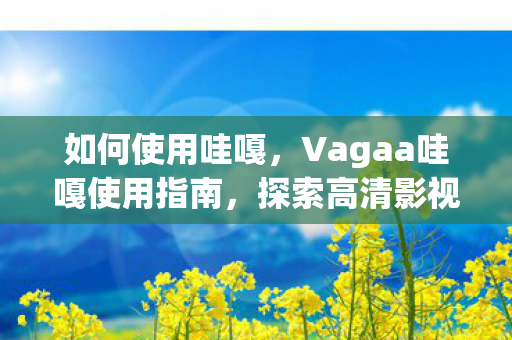 如何使用哇嘎，Vagaa哇嘎使用指南，探索高清影视资源的便捷途径