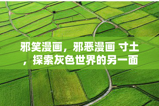 邪笑漫画,邪恶漫画 寸土,探索灰色世界的另一面 邪笑漫画,邪恶漫画 寸土,探索灰色世界的另一面