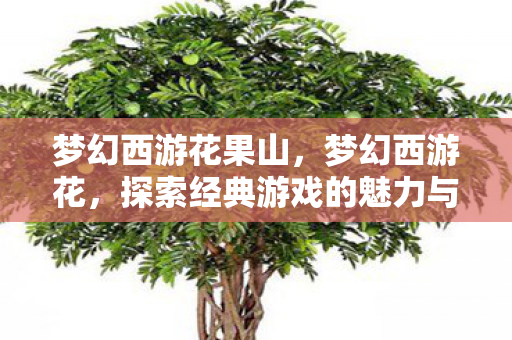梦幻西游花果山，梦幻西游花，探索经典游戏的魅力与传承