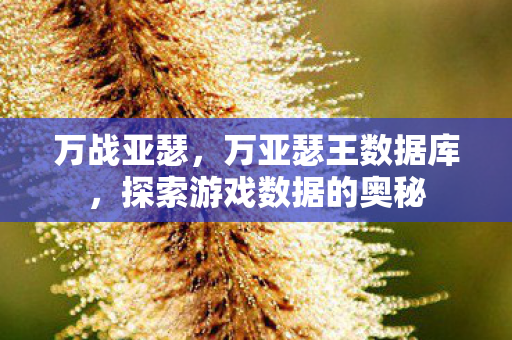 万战亚瑟,万亚瑟王数据库,探索游戏数据的奥秘 万战亚瑟,万亚瑟王数据库,探索游戏数据的奥秘