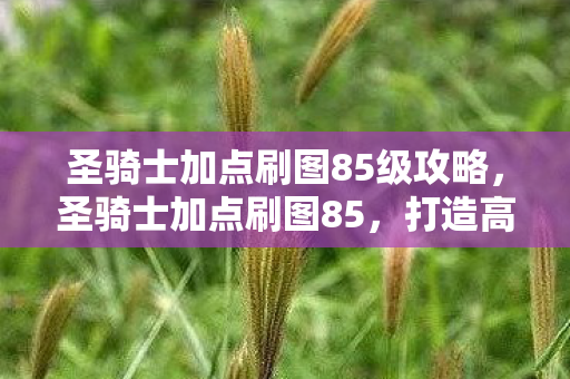 圣骑士加点刷图85级攻略，圣骑士加点刷图85，打造高效战斗力的关键
